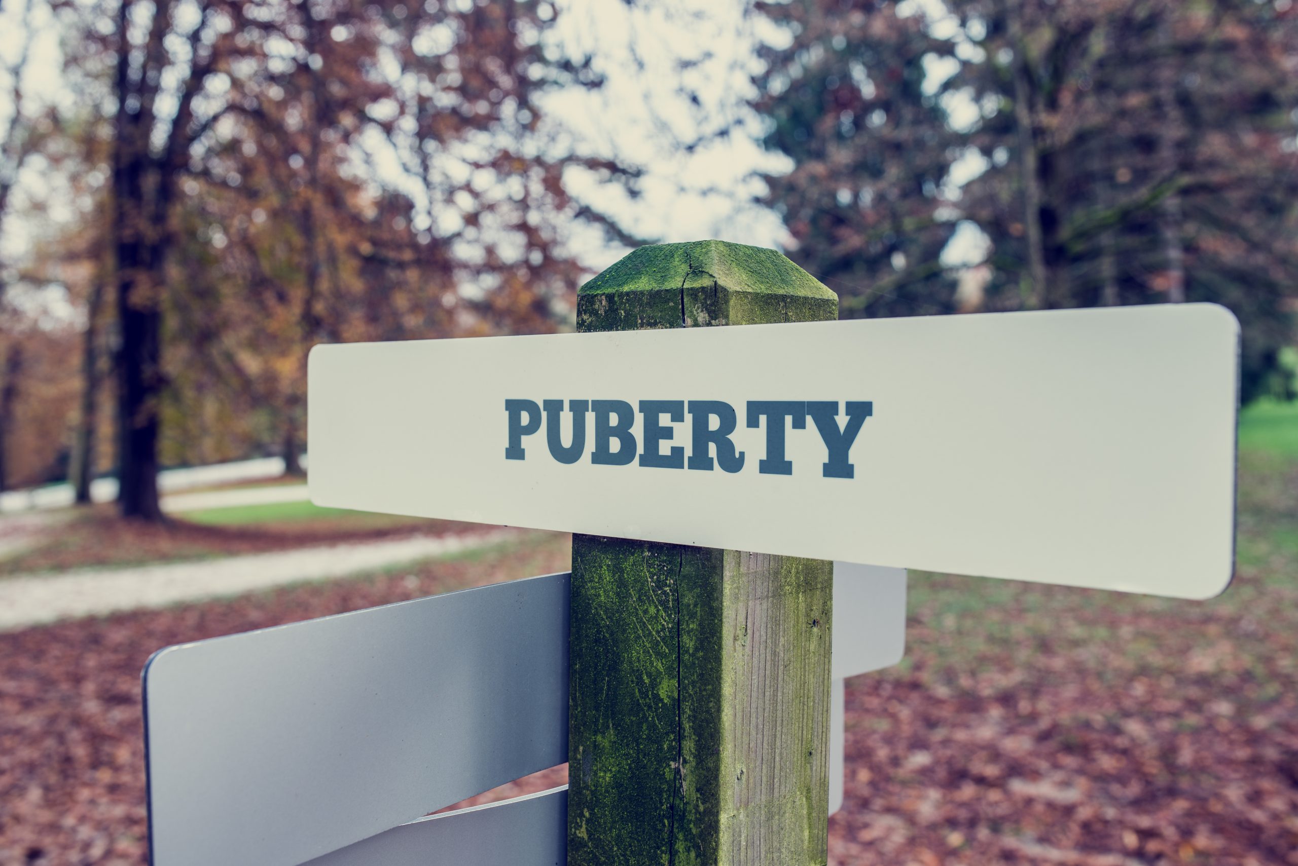 Puberty Healthy Schools Puberty Healthy Schools